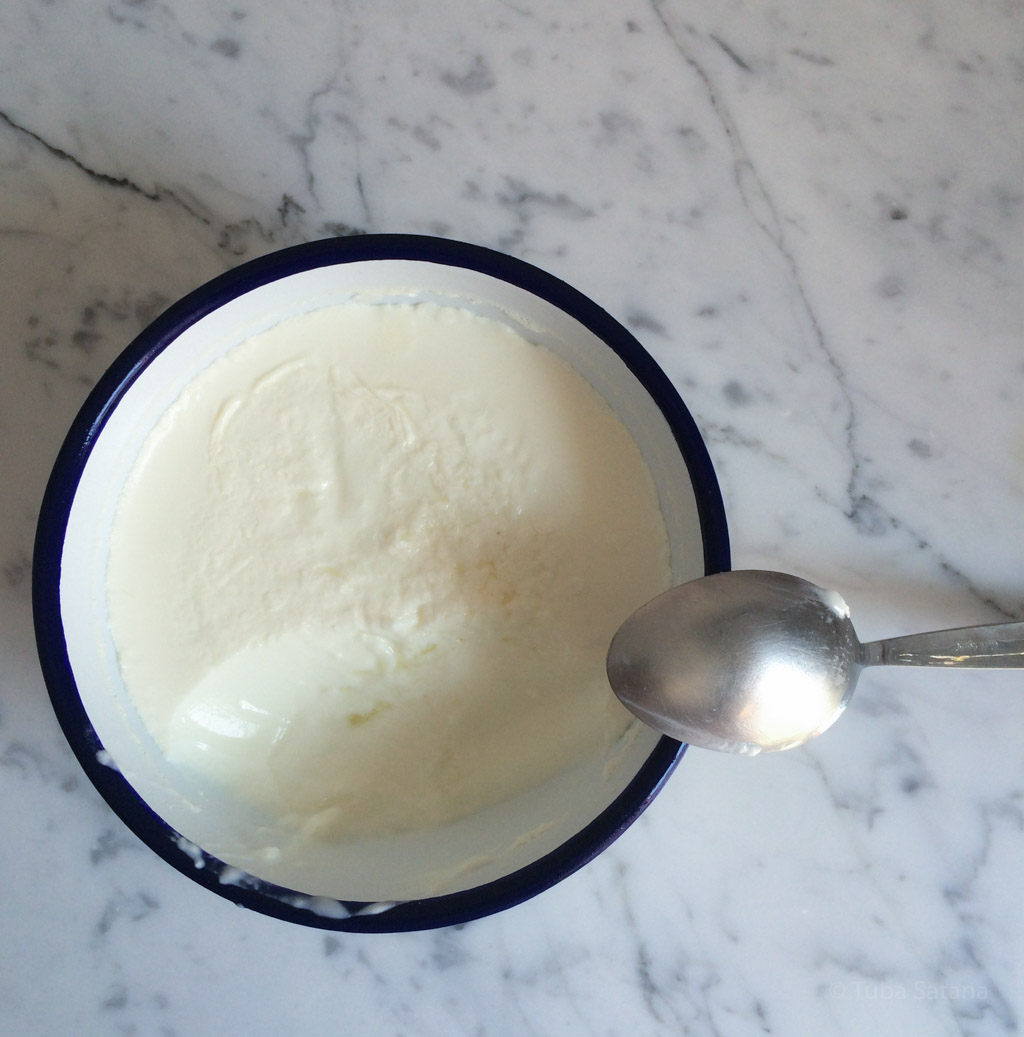 my_homemade_yogurt