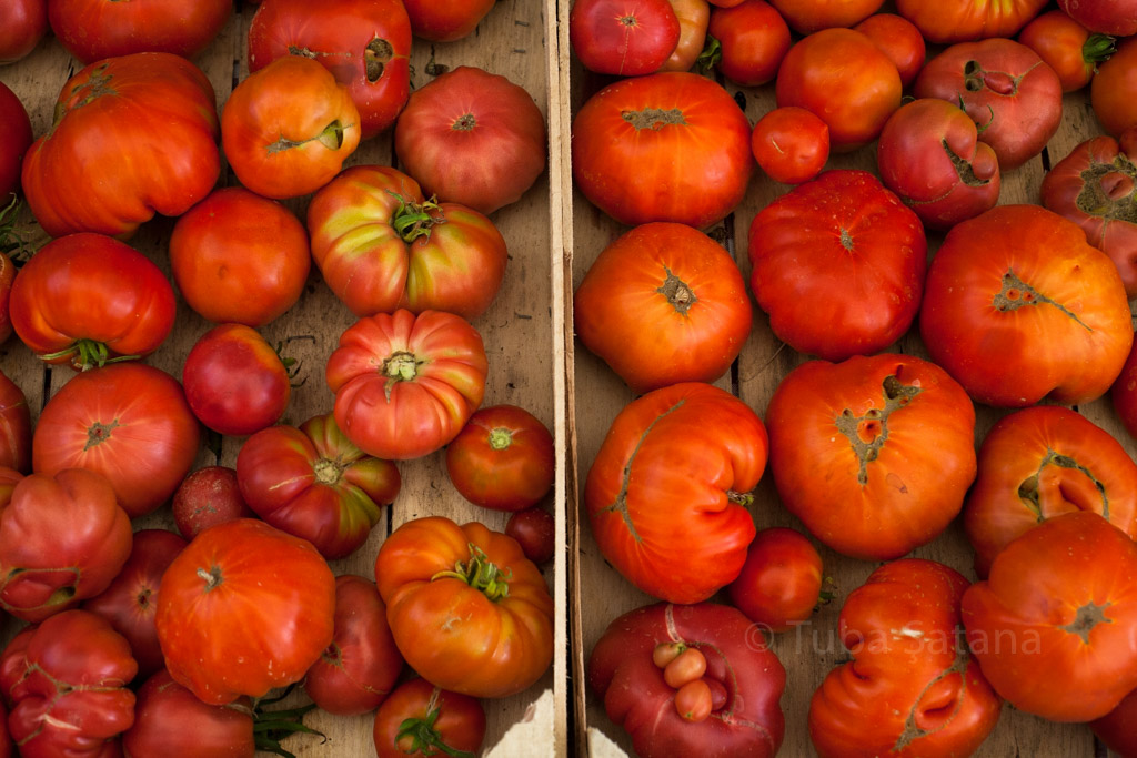 tomatoes at Şile Earth market